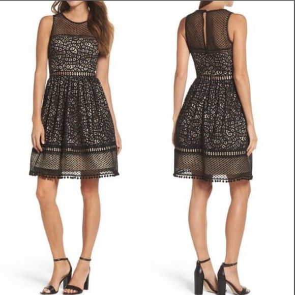 Eliza J Dresses & Skirts - Eliza J Lace Fit & Flare Dress Size 6